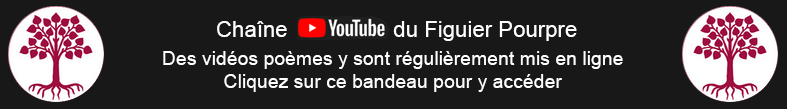 Chaine YouTube Le Figuier Pourpre